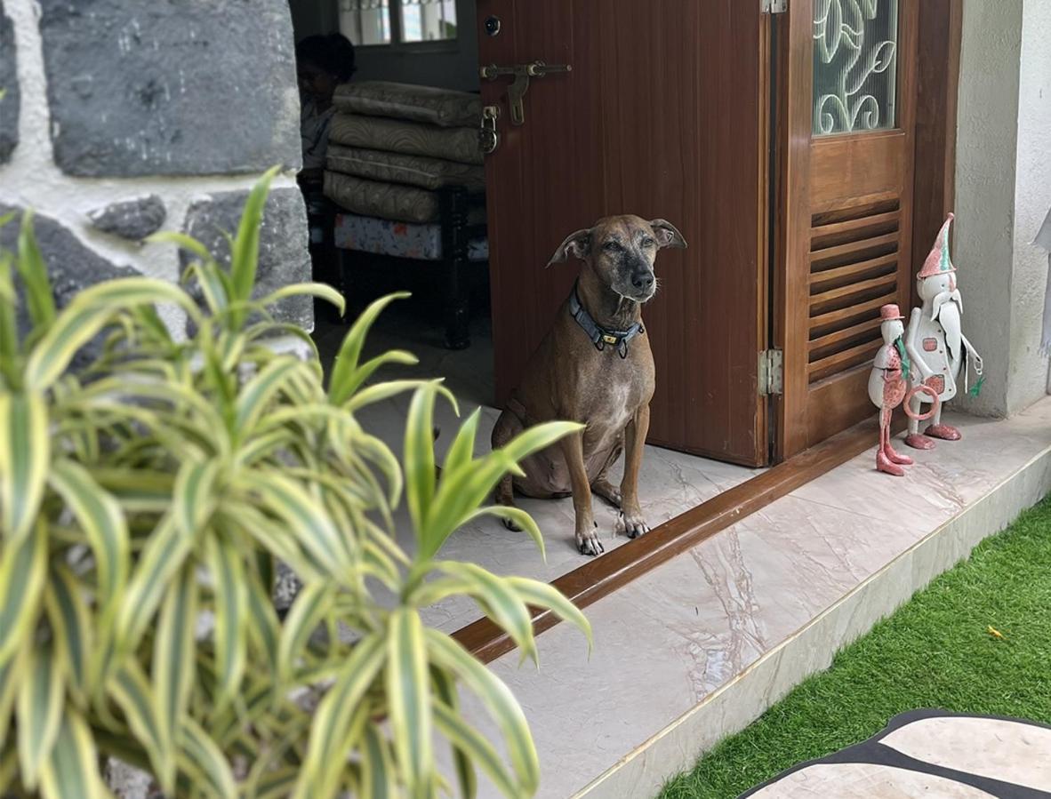 Angel House -Your Private Pet Friendly Haven Lonavala Kültér fotó