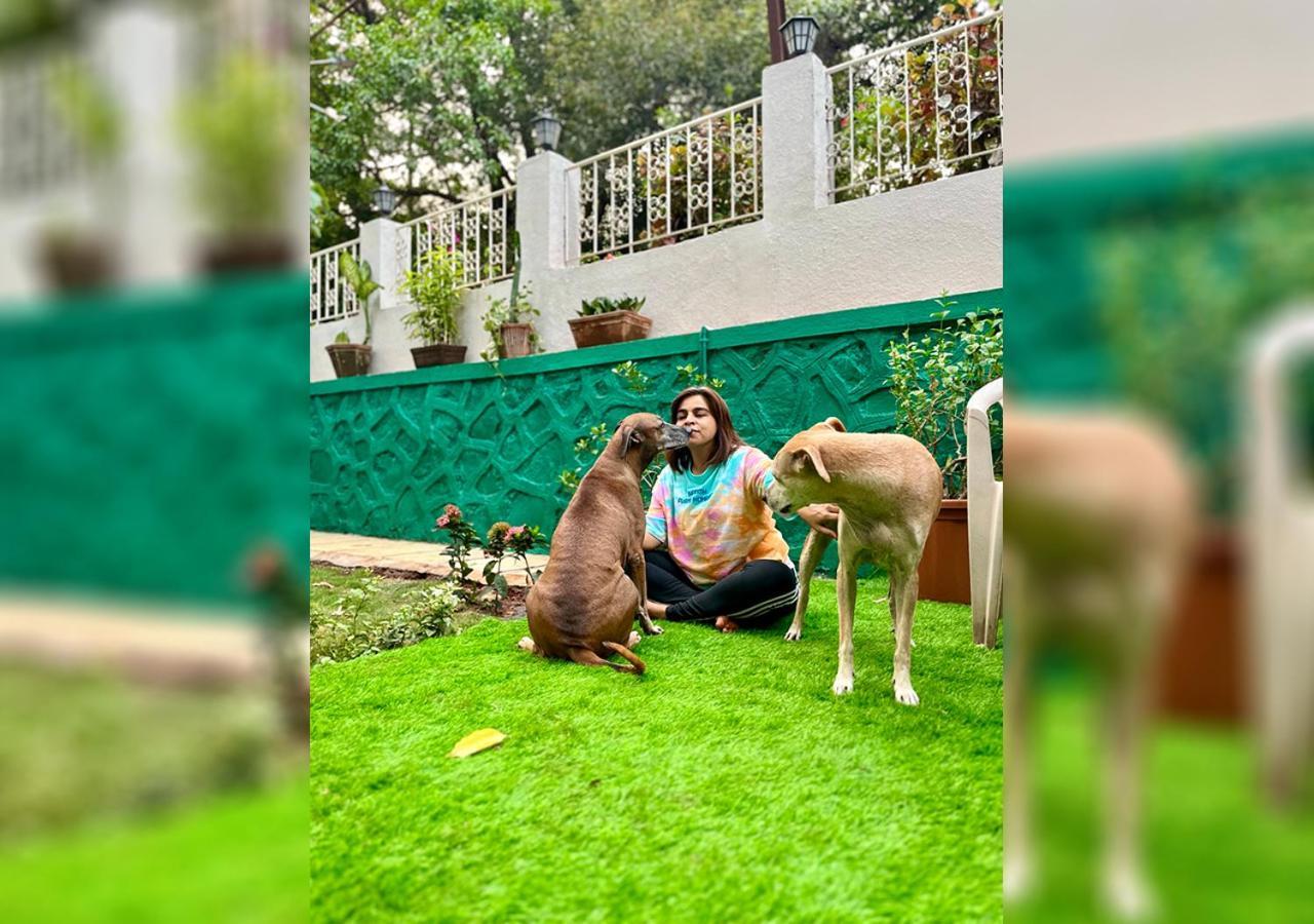 Angel House -Your Private Pet Friendly Haven Lonavala Kültér fotó